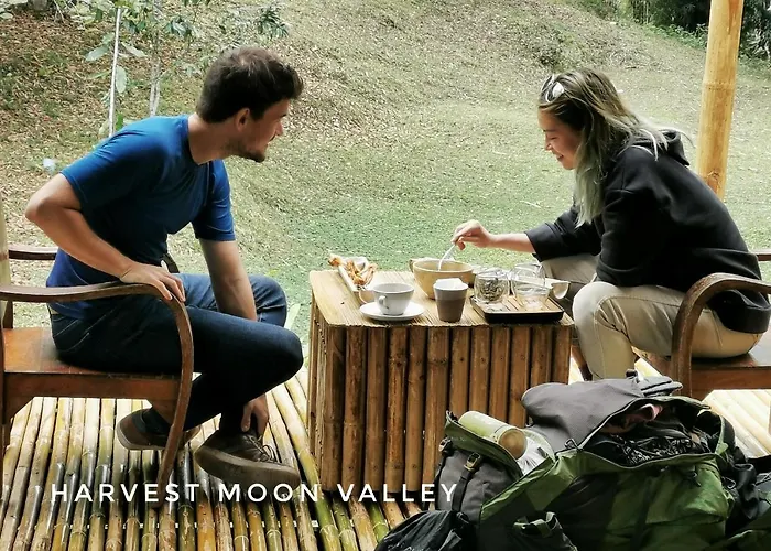 Harvest Moon Valley