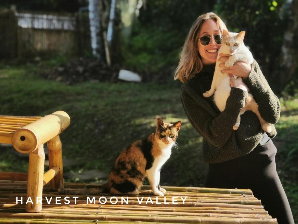 Harvest Moon Valley
