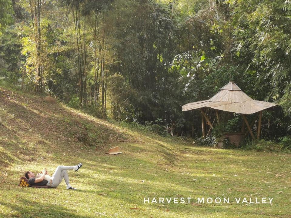 ฟาร์มสเตย์ Harvest Moon Valley