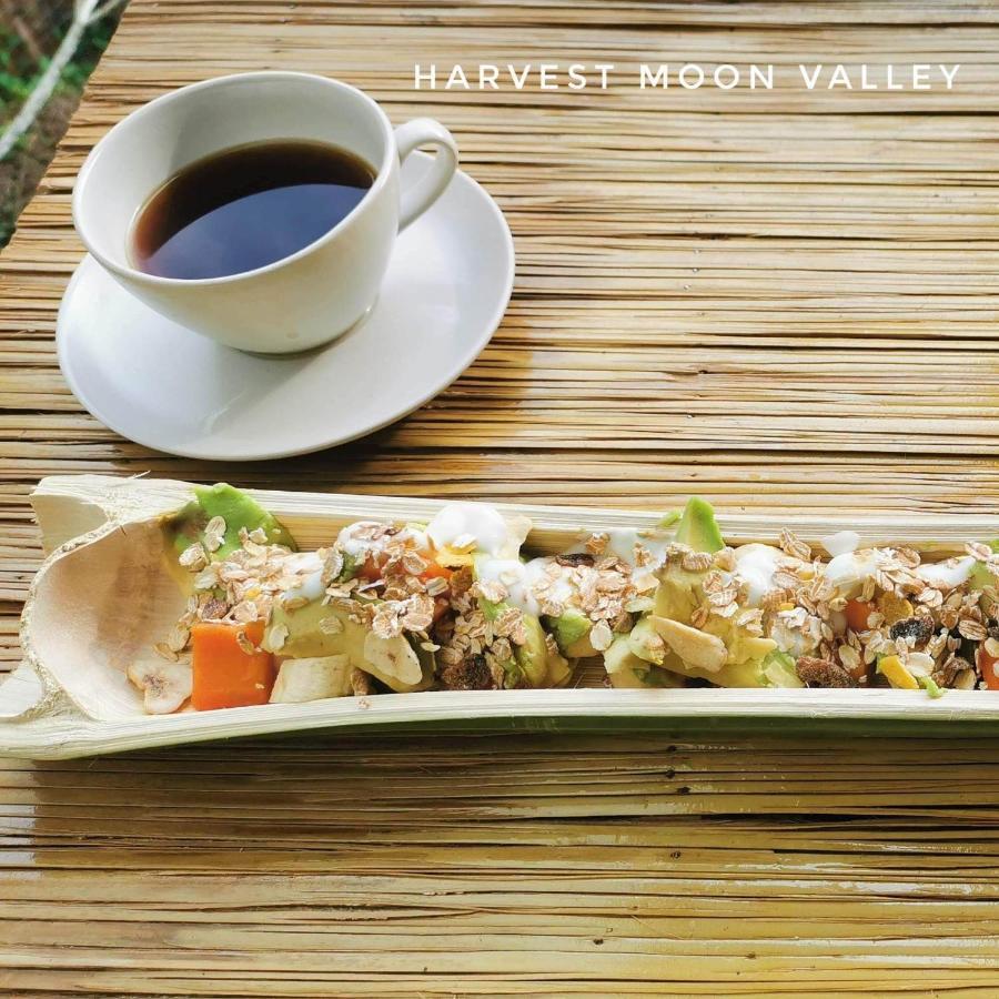 Harvest Moon Valley * Ban Pang Luang